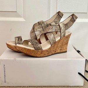 Aldo Platform Wedge Heels